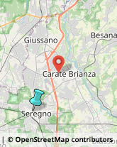 Gelaterie,20831Monza e Brianza