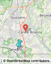 Terme,20831Monza e Brianza