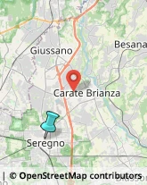 Rosticcerie e Salumerie,20831Monza e Brianza