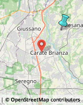 Gelaterie,20842Monza e Brianza