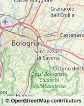 Via Mario Fantin, 15,40131Bologna