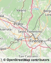 Polizia e Questure,50014Firenze