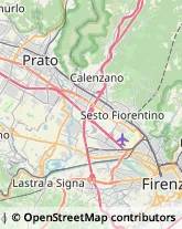 Polizia e Questure,50019Firenze