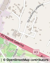 Porcellane - Produzione e Ingrosso,80059Napoli