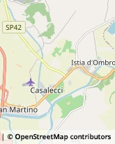 Via Gallura, 7,58100Grosseto