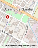 Viale S. Allende, 46,40064Ozzano dell'Emilia