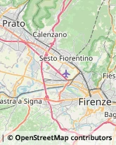 Via Lorenzo il Magnifico, 92,50123Firenze