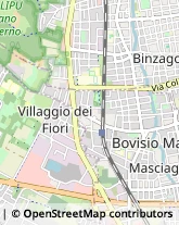 Borse - Dettaglio,20813Monza e Brianza