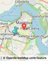 Trasporto Pubblico,46100Mantova