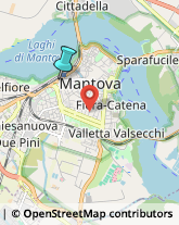 Trasporto Pubblico,46100Mantova