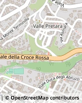 Viale Croce Rossa, 129,67100L'Aquila