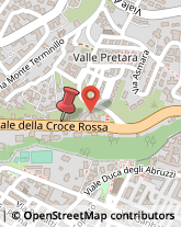 Viale Croce Rossa, 129,67100L'Aquila