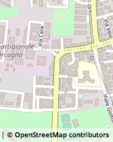 Viale Giovanni Cimabue, 55,58100Grosseto