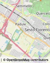 Via Giuseppe Garibaldi, 139,50019Sesto Fiorentino