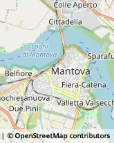 Associazioni Socio-Economiche e Tecniche,46100Mantova