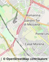 Via Capistrano, 38,00173Roma