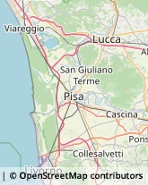 Via Nuova per Pisa, 1798,55100Lucca