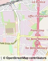 Via del Maggiolino, 170,00155Roma