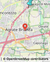 Abbigliamento,20871Monza e Brianza