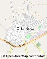 Viale Ferrovia, 4/A,71045Orta Nova