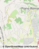 Via Pier Paolo Pasolini, 1,00065Fiano Romano