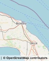 Vini e Spumanti - Produzione e Ingrosso,73010Lecce