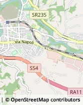 Via Urbisaglia, 3,63100Ascoli Piceno