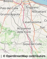 Via Francesco Romano, 11,70023Gioia del Colle