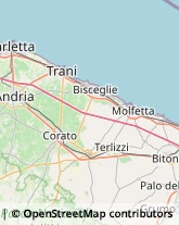 Oleifici - Macchine,76125Barletta-Andria-Trani