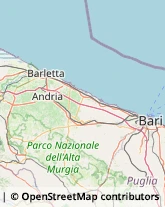 Auto - Demolizioni,76123Barletta-Andria-Trani