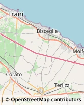 Oleifici - Macchine,76011Barletta-Andria-Trani