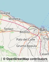 Via Dante Alighieri, 238,70122Bari