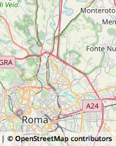 Via Silvio Testa, 3,00188Roma