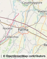 Maglieria - Dettaglio,43044Parma