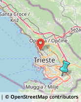 Aziende Sanitarie Locali (ASL),34148Trieste