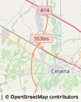 Via Ravennate, 524,47521Cesena