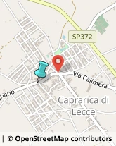 Farmacie,73010Lecce