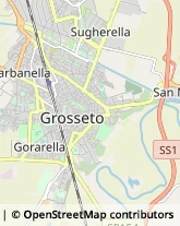 Dietologia - Medici Specialisti,58100Grosseto