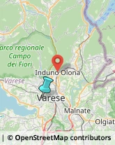 Veterinaria - Ambulatori e Laboratori,21100Varese