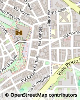 Viale Vittorio Fossombroni, 14,58100Grosseto