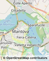 Consulenze Speciali,46100Mantova