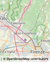 Via Francesco Baracca, 135,50127Firenze