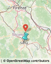 Agenzie Ippiche e Scommesse,53100Siena