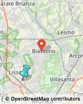 Asili Nido,20851Monza e Brianza