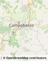 Autotrasporti,86100Campobasso