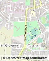 Viale Giovanni Cimabue, 55,58100Grosseto