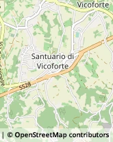 Piazza Carlo Emanuele I, 57,12080Vicoforte