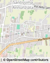 Via Vecchia Pesciatina, 1088,55100Lucca