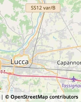 Via S. Nicolao, 65,55100Lucca