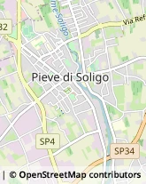 Pesce - Lavorazione e Commercio,31053Treviso